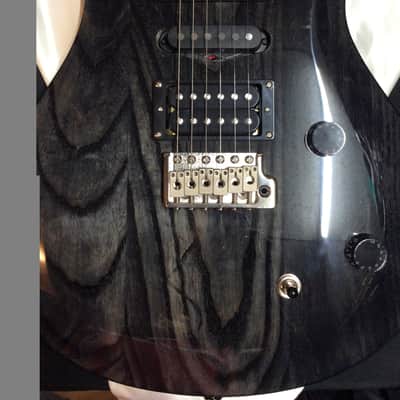 PRS SE Swamp Ash Special 2023 - Present - Charcoal image 1