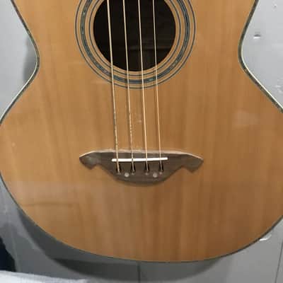 Waterstone Acoustic Bass guitar image 2