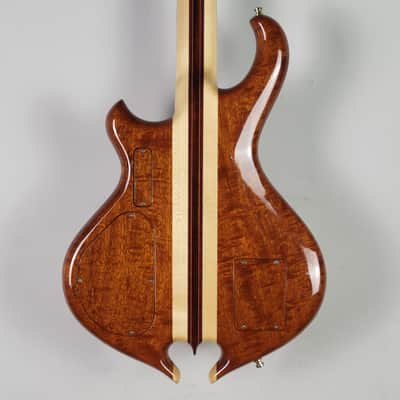 2009 Alembic Darling - Zebrawood With OHSC image 2