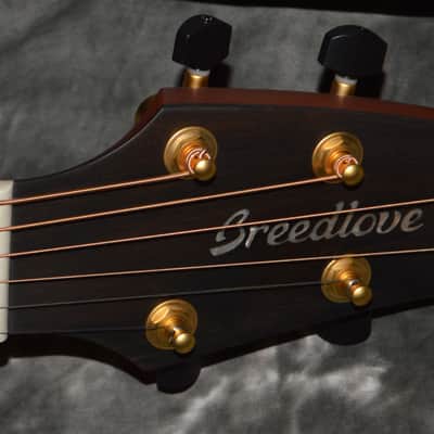 2022 Breedlove - Oregon Concert Bourbon CE Myrtlewood - Bourbon Burst image 4
