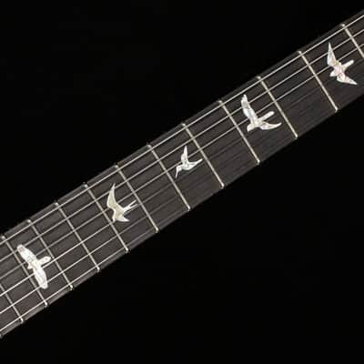 PRS Custom 24 Floyd Private Stock Color Tiger Eye 10 Top (082) image 5
