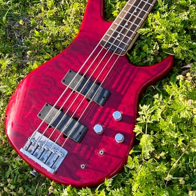 Peavey Fury V 2007/2008 5 String Bass - Upgraded Bartolini Pickups image 3