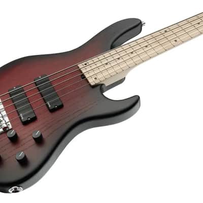 Sadowsky MetroLine 24-Fret Modern Bass-Swamp Ash Body-5 String-Burgundy Burst Transparent Satin image 1