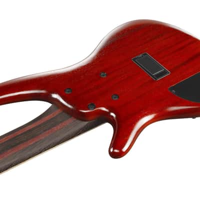 Ibanez SR1426B-CGL Premium SR Electric Bass 6-String - Caribbean Green Low Gloss + Gig Bag image 22