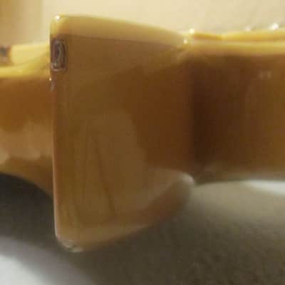Fernandes Ravelle Elite 03-06 Gold image 15