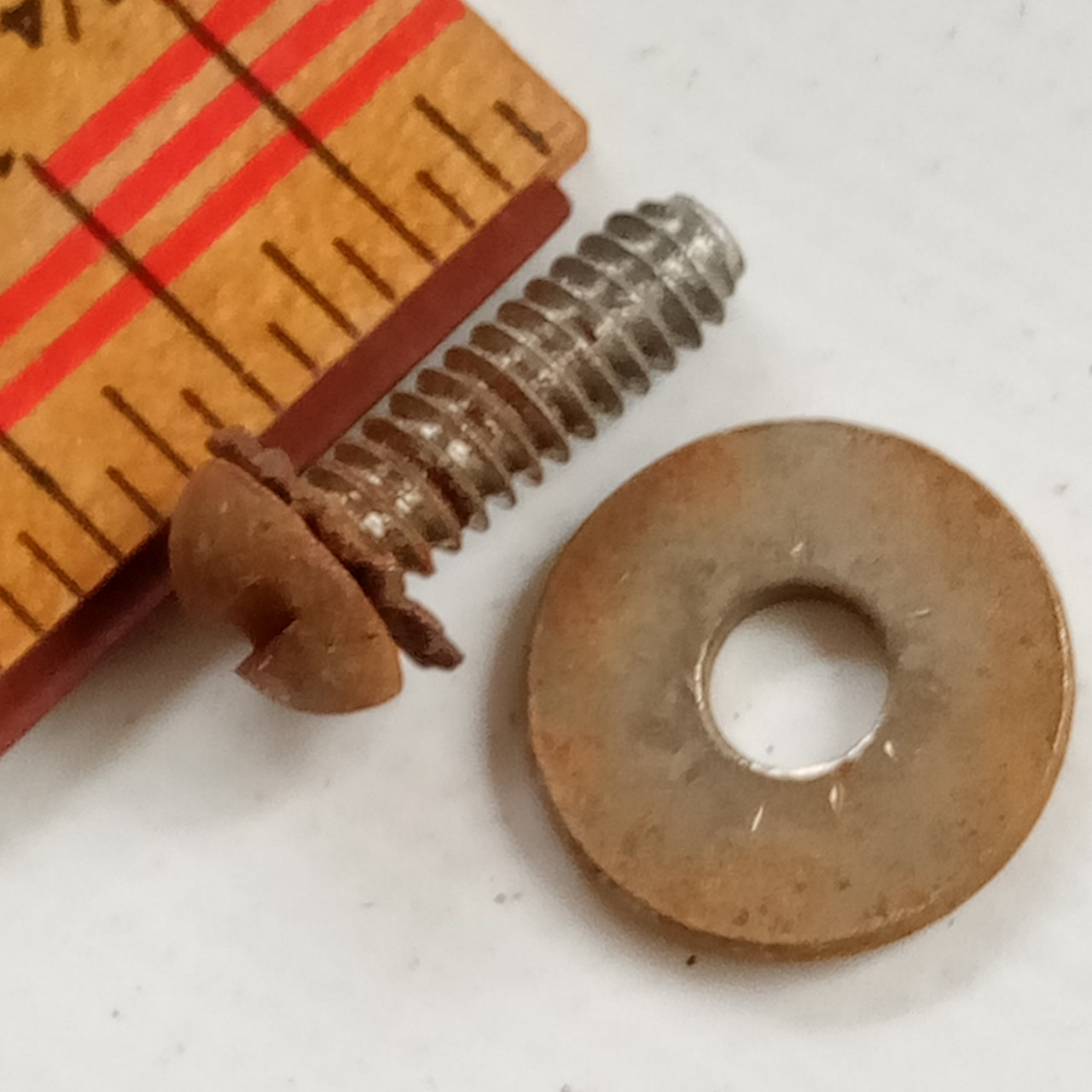 Leedy 5/8"10-24 Beavertail Lug-Screw Vintage 40s +Star +Nickel-Steel Washers USA — main photograph