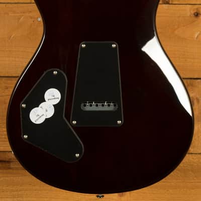 PRS SE Signature | DGT - Gold Top image 4