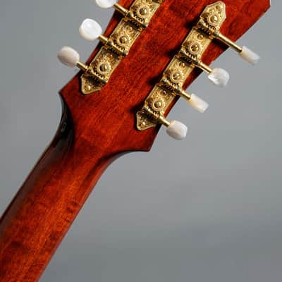 Eastman MDC805 Mandocello image 10