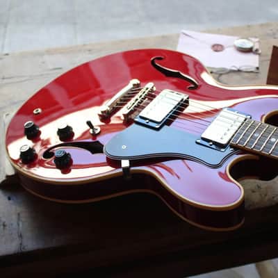 FGN 335 Cherry, MSA-HP/CH HARDCASE, 3, 03 KG image 5