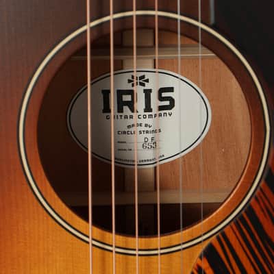 Iris Guitar Company DF 2023 - Sunburst, Adirondack Top, Ivoroid Binding. NEW (Authorized Dealer) image 8