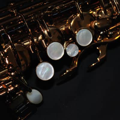 Chateau CAS-50CBC Intermediate Alto - New image 5