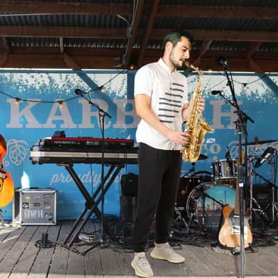 New Student Paint Gold Alto Eb Sax Saxophone w/ Case Accessories image 6
