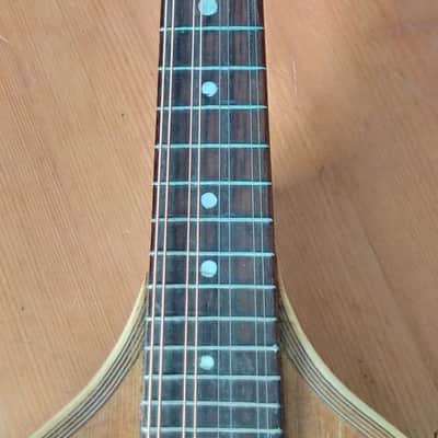 Cased George P. Matthew Mandolin 1882-1910 image 6