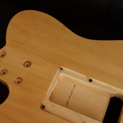 Custom Ibanez body routed for AANJ Wizard neck, and Original Edge tremolo image 5