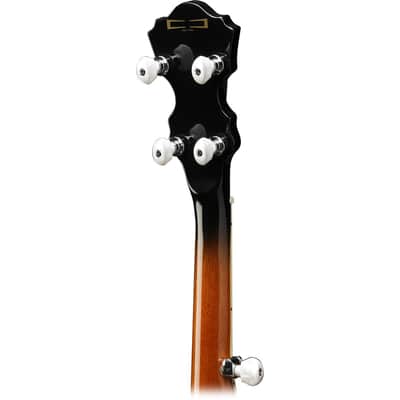 Ibanez B300 5-String Banjo, 22 Frets, Mahogany Neck, Rosewood Fretboard, Abalone Resonator Binding image 19