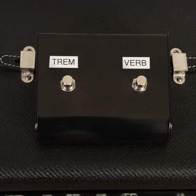 Swart AST Pro 1x12" Combo image 6