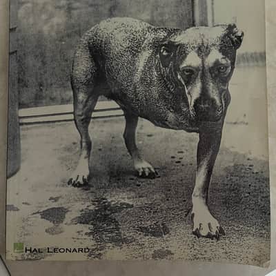 Alice in Chains - S/T - Guitar Tab / Tablature Book image 1