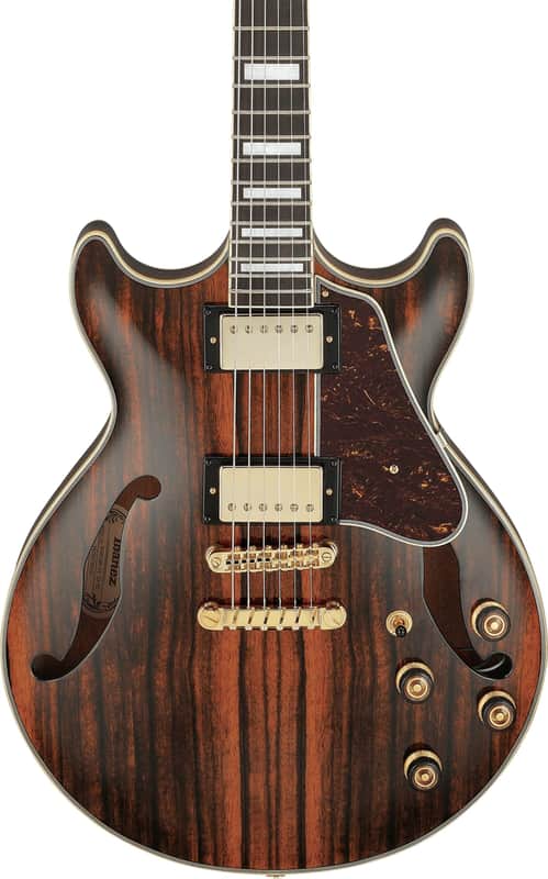 Ibanez AM93ME Artcore Expressionist Semi-Hollow Electric Guitar, Ebony Fingerboard, Natural image 1
