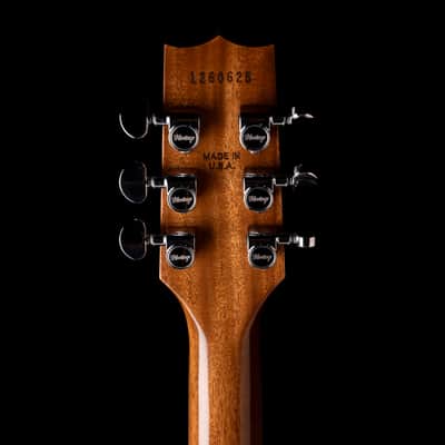 Heritage Standard II H-150 Chestnut Burst with Case image 13