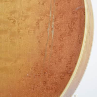 Barry Ford F-Style Bluegrass Mandolin image 11