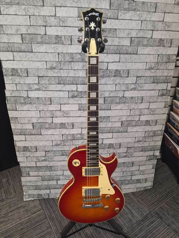 Arbor Les Paul Copy image 1