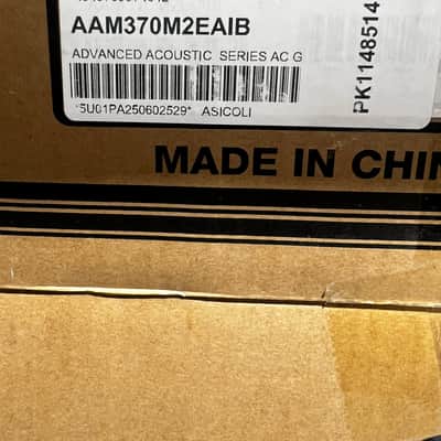Ibanez AAM370EIB Advanced Acoustic Auditorium Acoustic-electric Guitar - Antique White Ice Blue Open Pore image 7