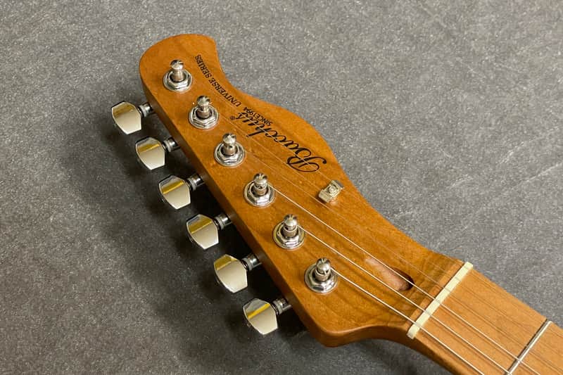 Bacchus BTE-1-RSM/M DLPB 【兵庫店】 | Reverb Brazil