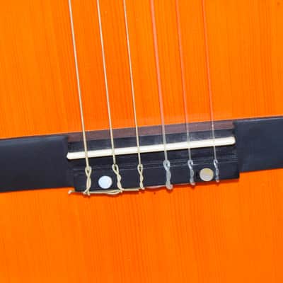 D. Catala Guitarras GO-50 Classical Acoustic Guitar w/ Hardshell Case image 6