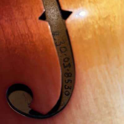 Martin F-65 image 11