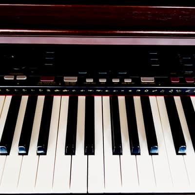 Technics Digital Ensemble Electric Piano Pr307/K 1996 - WOOD image 5