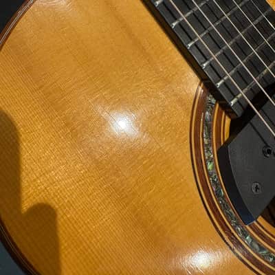 Linda Manzer Sitar Acoustic 1997 w/ Hardshell Case image 12