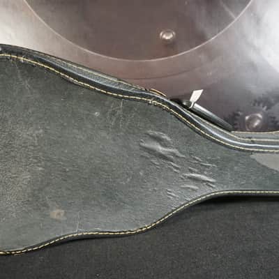 Vintage Regal Lap Steel image 13