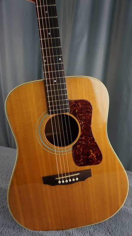 Temmas Nashville N-40D - Natural Acoustic Guitar image 1