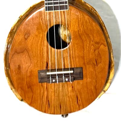 Turtle Shell Concert Ukulele image 10