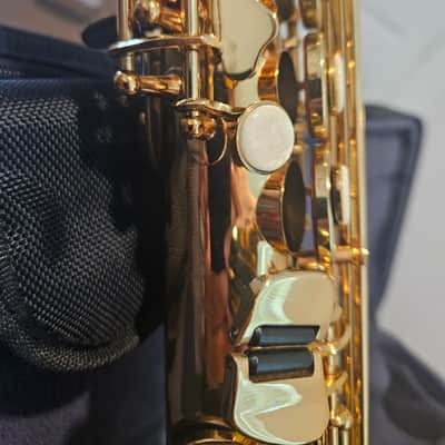 Todd Oxford Saxophones Signature Series 2007 - Gold Lacquer image 3