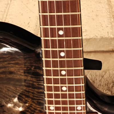 Fibenare Erotic Dalmat Single Cut Charcoal | Boutique Handmade Electric | Fresh Setup image 10