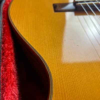 Asturias A18-11 11 String Altoguitar Alto Guitar image 14