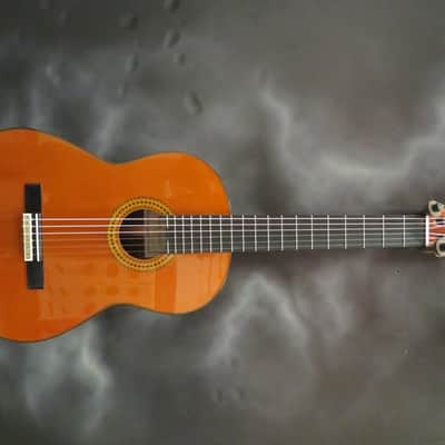 Yamaha GC22C image 1