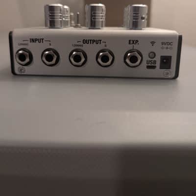 Positive Grid Bias Delay Twin 2010s - SIlver image 4
