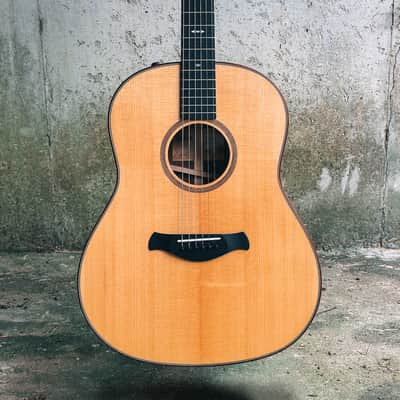 Taylor Builder's Edition 717e (V-Class Bracing) - MINT image 2