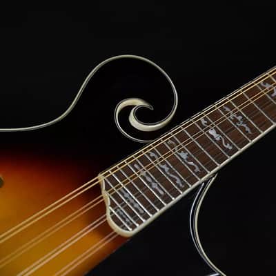 Gold Tone GM-35 F-Style Spruce Top Maple Neck 8-String Mandolin with Foam Case image 3