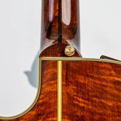Daion The Year Series '81 Caribou - Brown (BR) - Electric Acoustic Six String image 10
