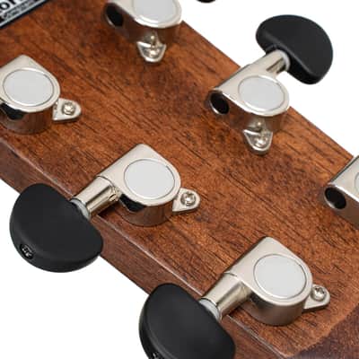 Cort SFX-E NS | Solid Spruce/Mahogany Thin Body Venetian Cutaway with Electronics. New with Full Warranty! image 12