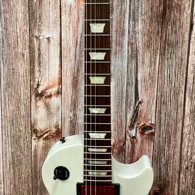 Custom Build - 2013 Gibson Les Paul LPJ image 3