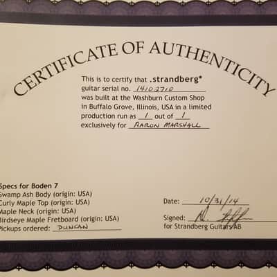 Strandberg Boden 7 Custom Artist Owned image 14