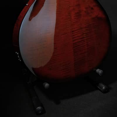 Fibertone 17RC 2026 - wine red image 8