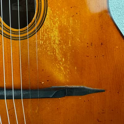 Altamira M30 with gig bag image 8
