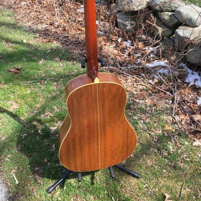 Very Nice 1981 Alvarez 5037 12-string Natural with OHSC image 10