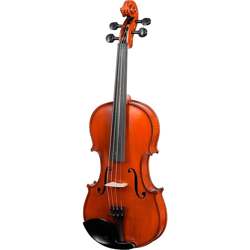 Bellafina Violin Outfit Domenico Model Oblong Case/Brazilwood Bow Regular 4/4 image 1