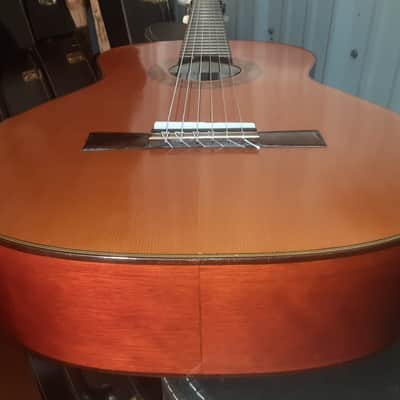 Vintage El Degas Classical Acoustic Guitar Model F4C MIJ image 20